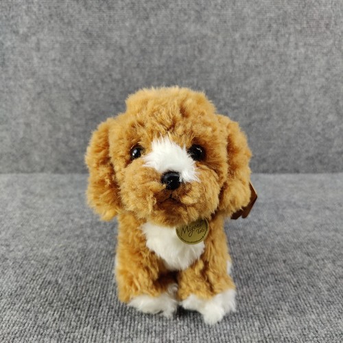 Aurora cockapoo pup puppy - cockapoo,