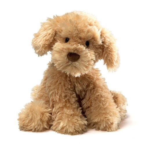 Nayla cockapoo puppy dog - nayla,
