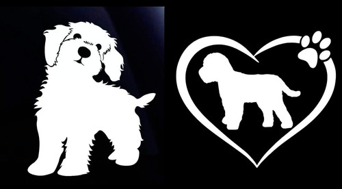 Cockapoo dog heart two - dog,