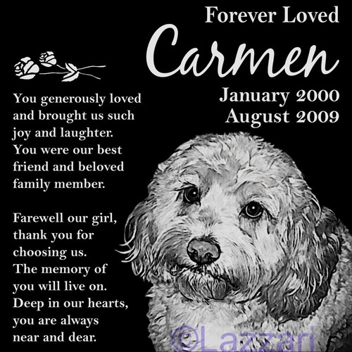 Personalized cockapoo dog pet - cockapoo,