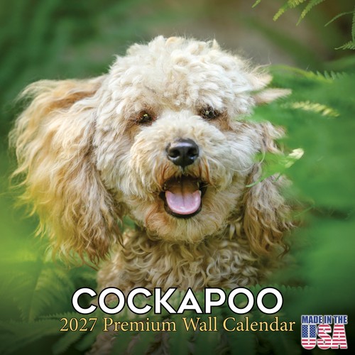Cockapoo 2027 calendar with - 2027,
