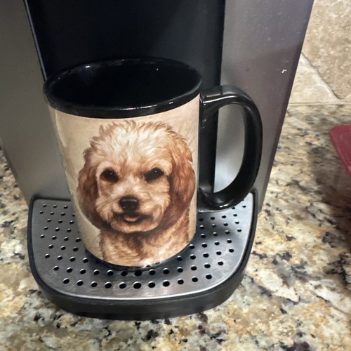 Cockapoo dog puppy - dog, coffee