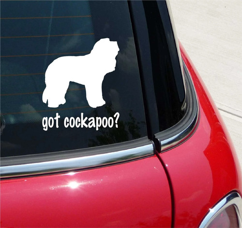 Got cockapoo cockerpoo - got, cockapoo?