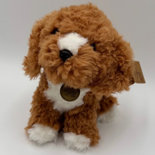 Aurora miyoni tots - tots, cockapoo