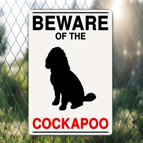 White red beware cockapoo - white,