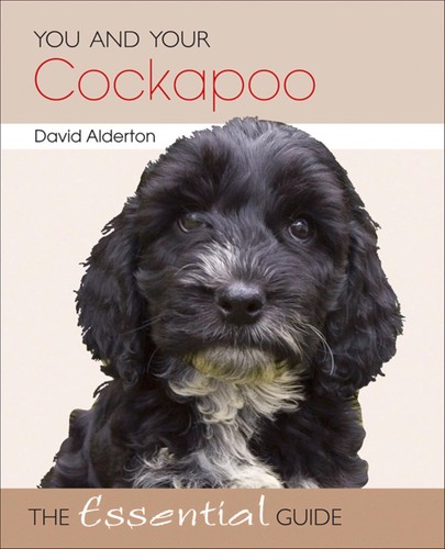 You and your cockapoo the - and, cockapoo: