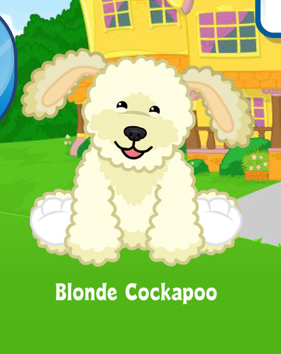 Webkinz classic blonde - classic,