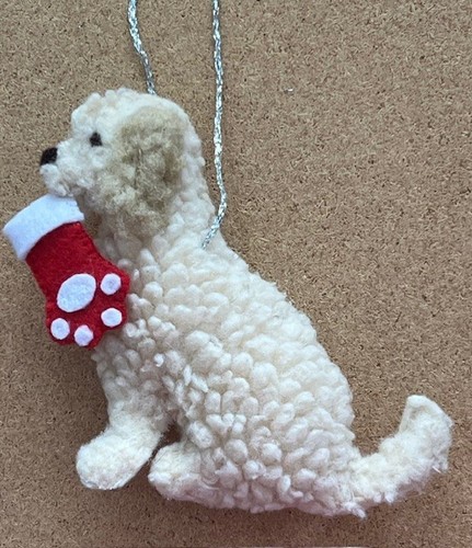 Cockapoo cavapoo doodle - cockapoo,, cavapoo,