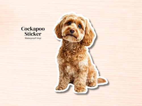 Cockapoo dog sticker - cockapoo,