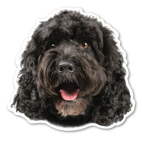 Cockapoo magnet - (black),