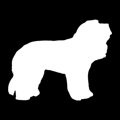 Cockapoo cockerpoo silhouette - cockapoo,