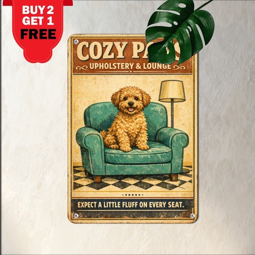 Cockapoo puppy canine - cockapoo, pet
