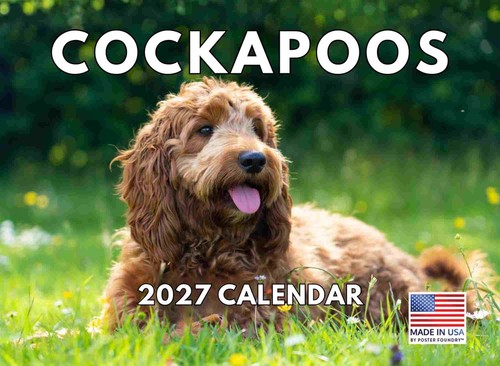 Cockapoo calendar 2027 - cockapoo, monthly