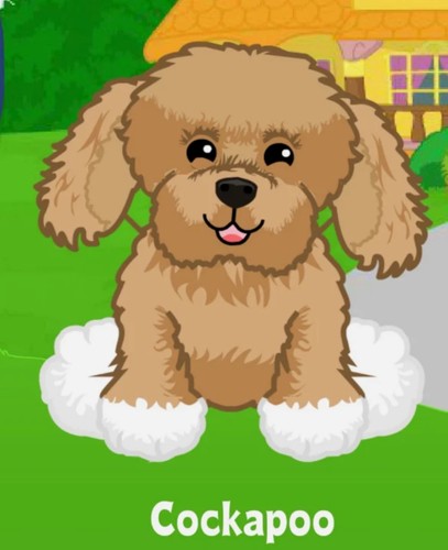 Webkinz classic cockapoo code - cockapoo,